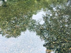 -水墨汀溪风景区