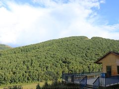 -多乐美地滑雪场