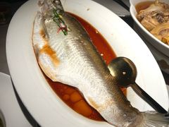 清蒸白水鱼-醉庐·新上海菜(南京西路店)