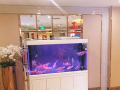 -华夏良子(京密路店)