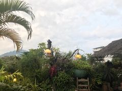 -自然餐厅(Phuket)