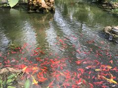 -南通洲际绿博园