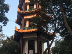 -赭山公园
