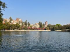 -翠湖公园