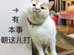-鲁班小馆(政四街店)
