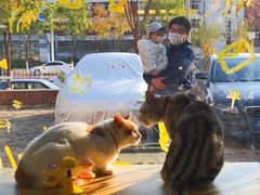 -平行世界·猫咖(首经贸店)