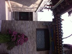 iphone_upload_pic-迎泽公园