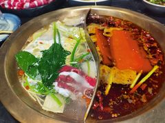 -杨家火锅(国美店)