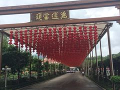 -梅州雁山湖国际花园度假区
