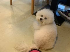 -小意思咖啡店(草桥店)
