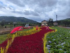 -云水谣景区