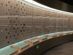 -陕西自然博物馆