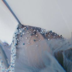 点击看大图 -LAFINE 兰斐婚纱礼服馆
