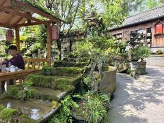 -青城甲(青城山店)