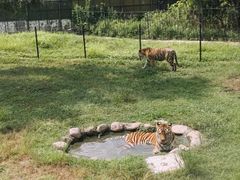 -上海野生动物园