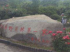 -习家池