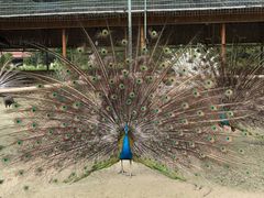 -韶关经律论国际酒店温泉