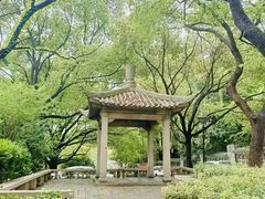 -惠山国家森林公园