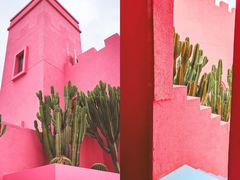 -漳州滨海火山岛自然生态风景区