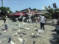 -茯茶镇