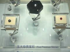 -安徽省地质博物馆