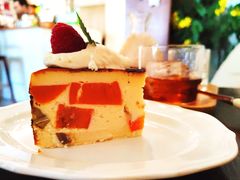 红薯板栗巴斯克-白熊咖啡(闽江大道店)