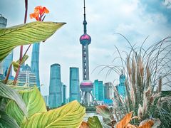 -北外滩滨江绿地