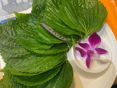 -千纸鹤嫩汁烤肉(西大直街店)