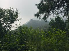 -阳台山自然风景区