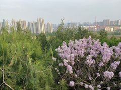 -南翠屏公园