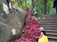-七仙岭温泉国家森林公园