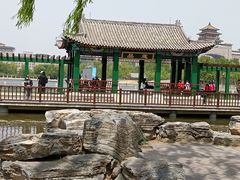 -莲花池公园
