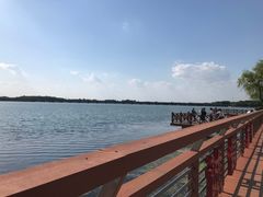 -丁香湖公园