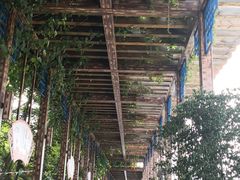 -光明港公园