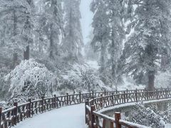 -瓦屋山景区