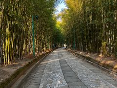 -蝴蝶泉公园