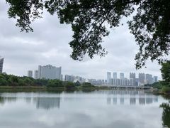 -南宁南湖公园
