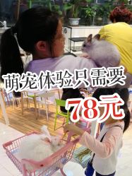 -Moni星球萌宠·小马宝莉·灵蛇·高端高阶全萌宠互动体验俱乐部(红豆国际广场店)