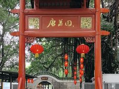-荔湾湖公园