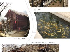 山吧(雁栖镇店)-北京水岸山吧度假村(雁栖镇店)