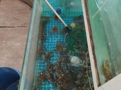 -品鲜村农家菜·阳澄湖大闸蟹(总店)