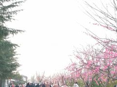 -西安汉城湖景区