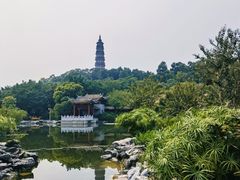 -顺峰山公园