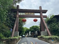 -十八棵（老龙井）御茶园(老龙井店)