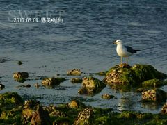 -兴旺渔家