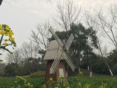 -圩墩遗址公园