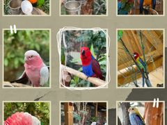 -南宫五洲植物乐园