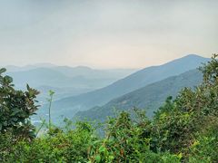 景点-大阳山国家森林公园
