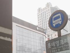 -乐天免税店(明洞店)