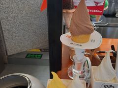 -野人先生Gelato(上海长宁龙之梦店)